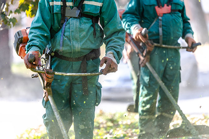 Weedwhackers are used to help clear vegetation 
